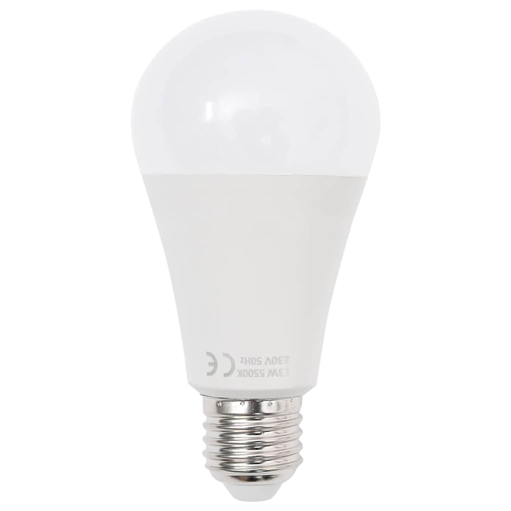 Professional Studio Light